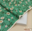 Original LAWN Collection 2026